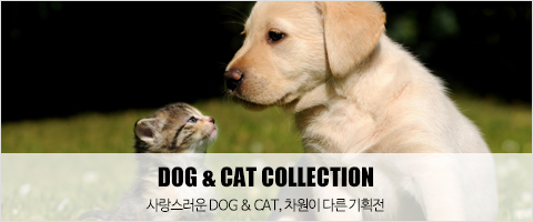 개고양이